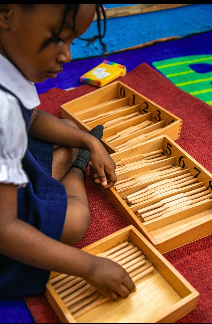 Pupil choosing a book in the well-equipped school library at Ambassadors Bilingual School