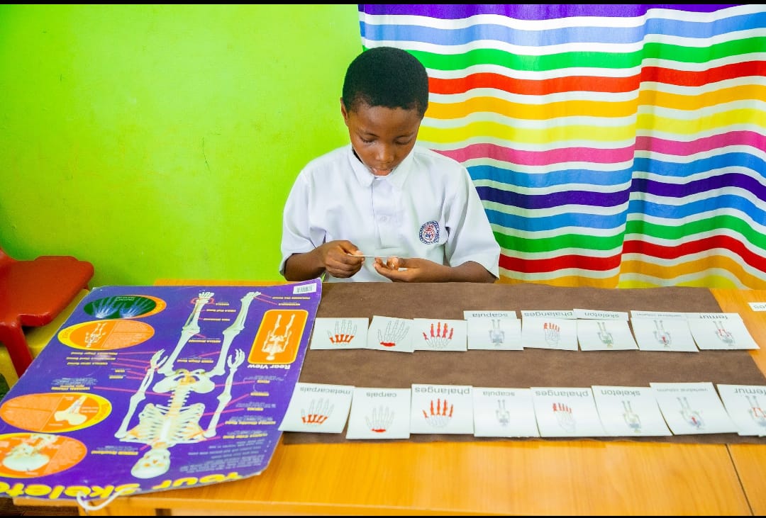 Pupils using computers in the ICT room at Ambassadors Bilingual School, Lagos